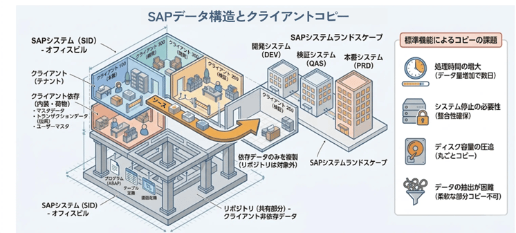 SAPにおけるデータ構造とクライアントコピーの役割