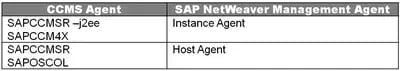 【NW7.0 EhP2】SAPOSCOLが消えた!? SAP NW Management Agents登場 3