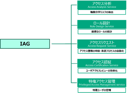 SAP IAGが提供する5つの主要機能