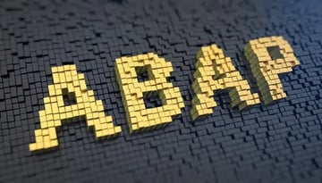 SAP NetWeaver バージョン：2つの系統（7.03と7.31）の関係