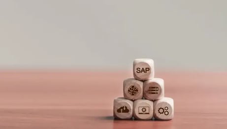 【SAP River って何?】SDNにファーストインプレッションが掲載