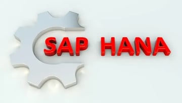 SAP S/4 HANA Enterprise Managementリリースとその目的