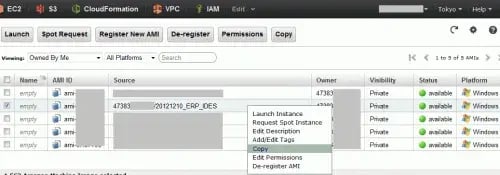 【SAP on AWS】リージョン間AMIコピー機能でERPを起動してみた 1