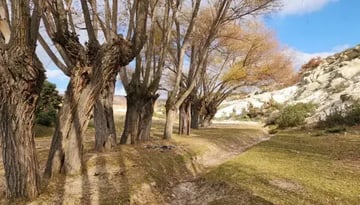 SolMan 7.1 SP05　がGAになりました。