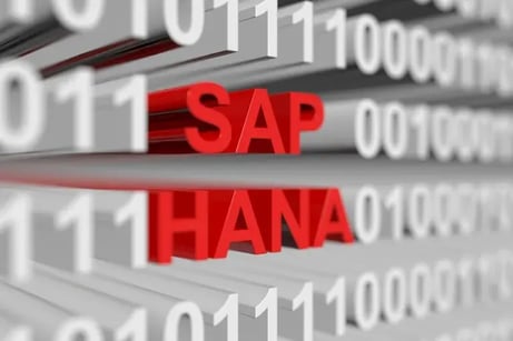 SAPユーザ必見!? SAP HANAとは