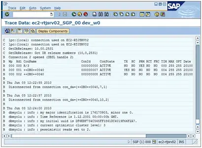 導入編2:Amazon クラウド- AWS/EC2でSAP環境構築(6/10) 12