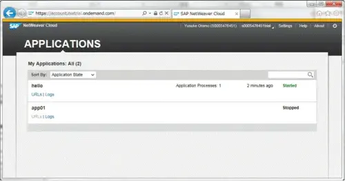 Netweaver Cloudでプログラミングしよう "Hello World" 3