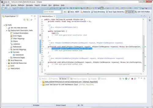 Netweaver Cloudでプログラミングしよう 