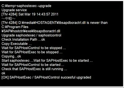【NW7.0 EhP2】Host Agentのパッチ適用手順 3