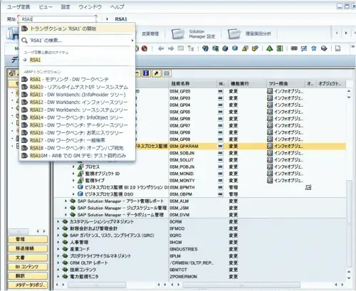NetWeaver Business Client(NWBC)からGUIが開けるようになりました。 1
