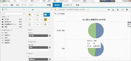 S/4HANAの勘所：HANA基本実践編(PALとLumiraを使った顧客分析) 3