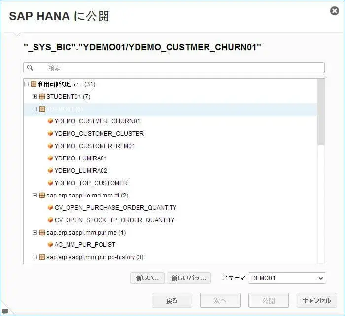 S/4HANAの勘所：HANA基本実践編(PALとLumiraを使った顧客分析) 6