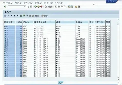 【SAP標準機能活用】SAP標準のアーカイブ機能を使ってコスト削減 5
