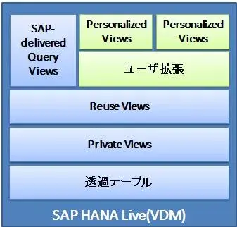SAP HANA Live入門
