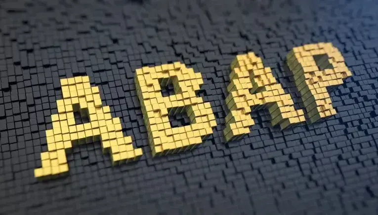 SAP NetWeaver バージョン：2つの系統（7.03と7.31）の関係