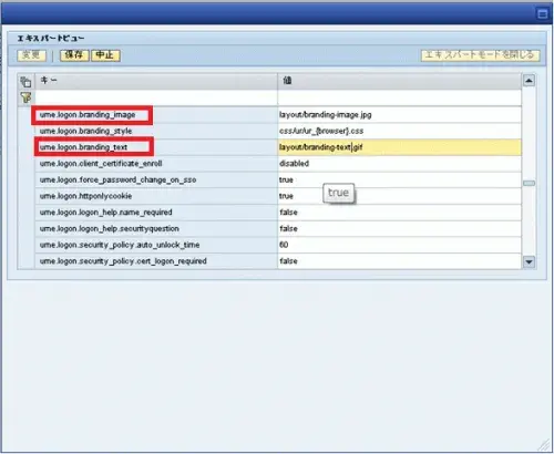 【第3回】SAP Portal7.3をカスタマイズしよう!：ログオン画面 5
