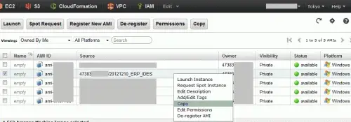 【SAP on AWS】リージョン間AMIコピー機能でERPを起動してみた 1
