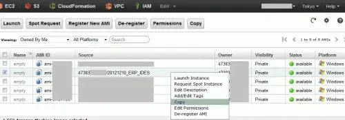 【SAP on AWS】リージョン間AMIコピー機能でERPを起動してみた