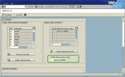 SAPユニコード変換重要ポイント:SE38/RSCPINST 1