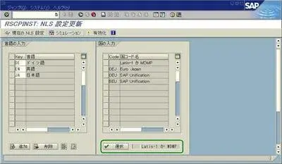SAPユニコード変換重要ポイント:SE38/RSCPINST 2
