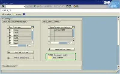SAPユニコード変換重要ポイント:SE38/RSCPINST