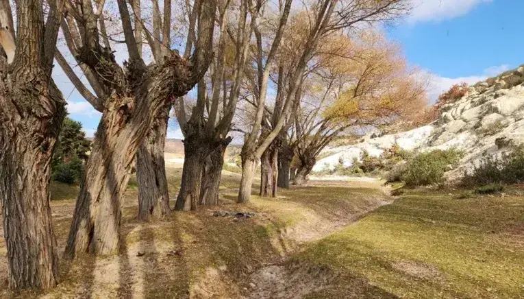 SolMan 7.1 SP05　がGAになりました。