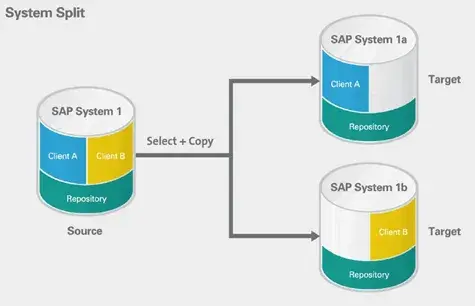 T-Bone（SLO）ツールによるSAPシステム移行シナリオ 5