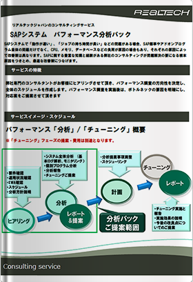 SAPシステム パフォーマンス分析パック